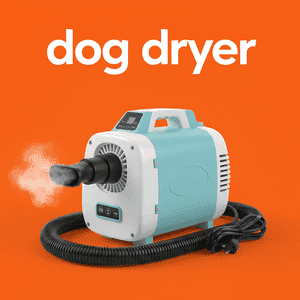 Dog Dryer