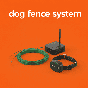 Dog Fence System