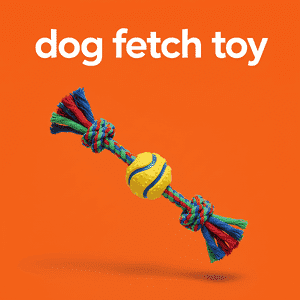 Dog Fetch Toy