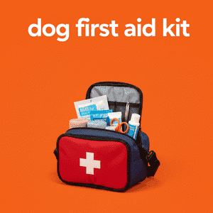 Dog First Aid Kit