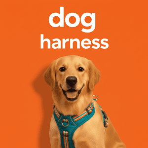 Dog Harness