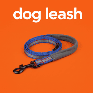 Dog Leash