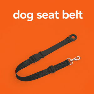 Dog Seat Belt