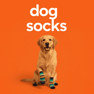Dog Socks