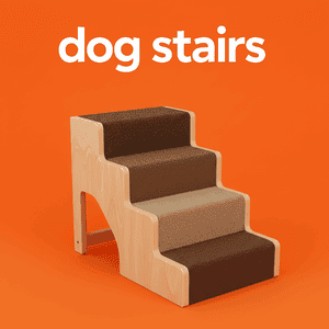 Dog Stairs