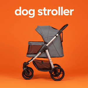 Dog Stroller
