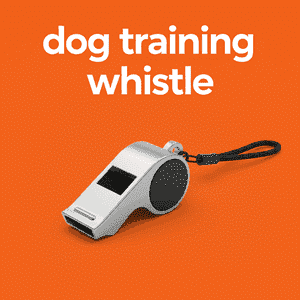 Dog Training Whistle