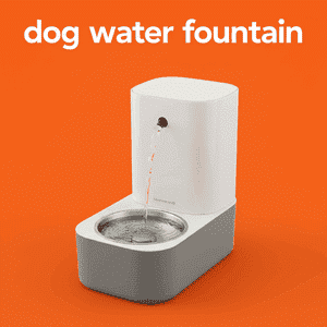 Dog Water Fountain