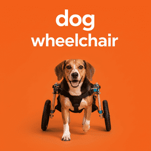 Dog Wheelchair