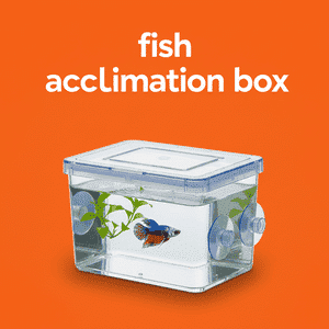 Fish Acclimation Box