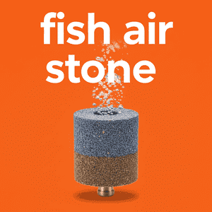 Fish Air Stone