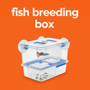 Fish Breeding Box