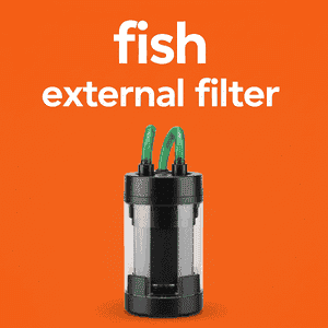 Fish External Filter