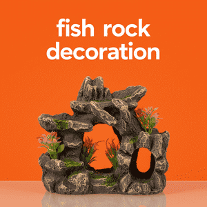 Fish Rock Decoration