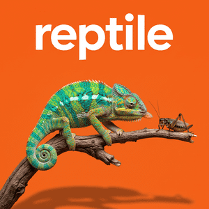 Reptile