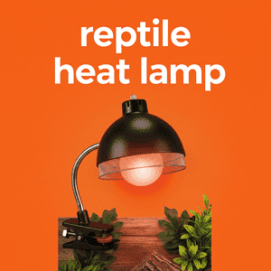 Reptile Heat Lamp