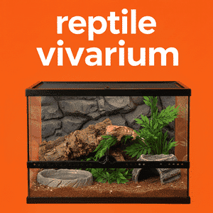 Reptile Vivarium