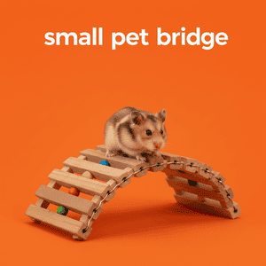 Small Pet Bridge