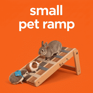 Small Pet Ramp