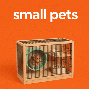 Small Pets